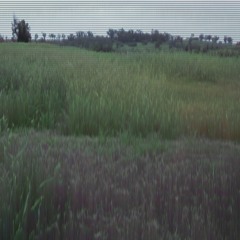 Quiet Place