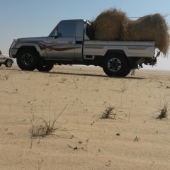 ‎⁨بعض الصدف توزن ذهب مسرع ساحليات.⁩.m4a