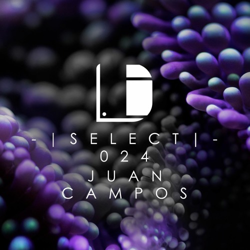 Drone Select 024 /// Juan Campos