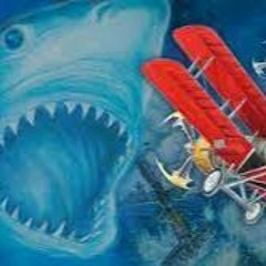 BLING LADEN - Ember93 - Sky Shark