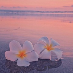 Plumeria by Positive Motion