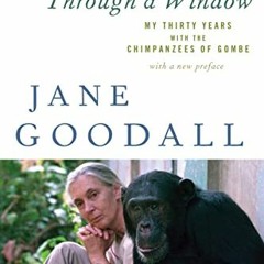 Read EPUB KINDLE PDF EBOOK Through A Window: My Thirty Years with the Chimpanzees of Gombe by  Jane