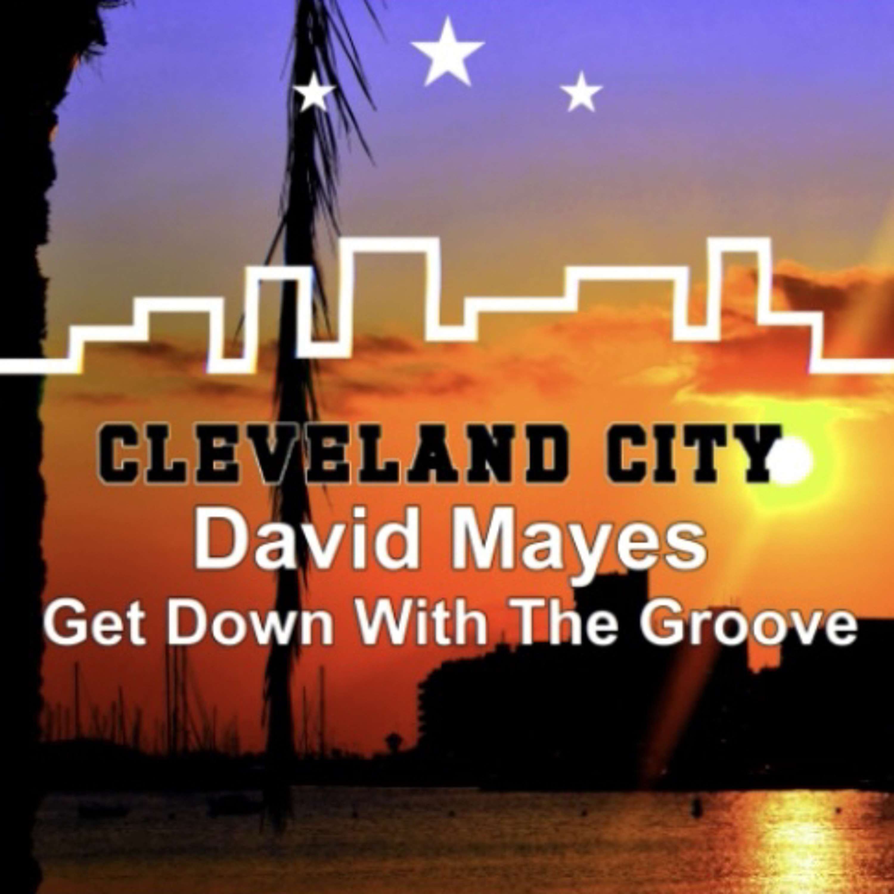 David Mayes