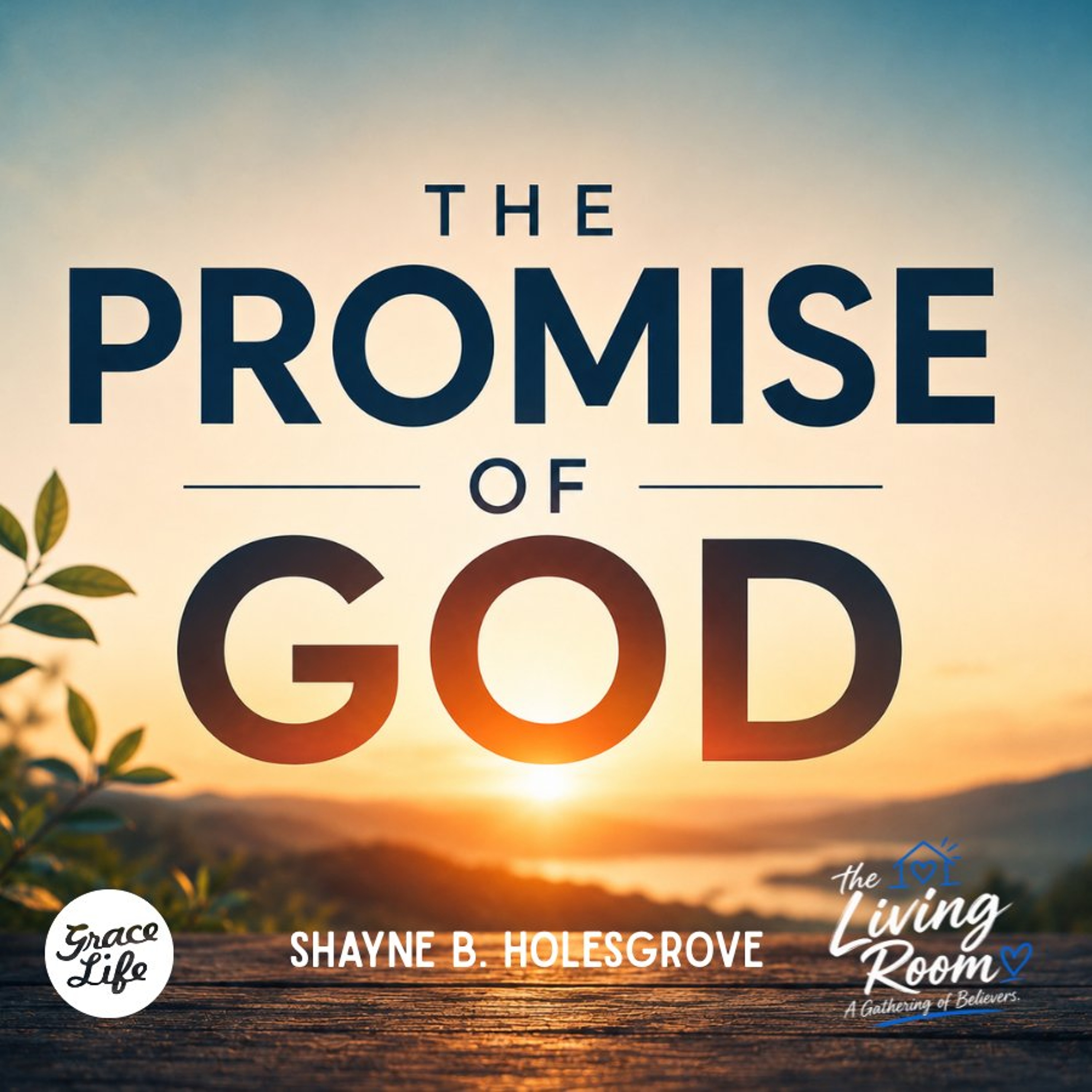 The Promise - Shayne Holesgrove (The Living Room) episode artwork