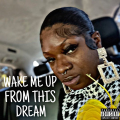 Thick Whit - Wake Me From My Dream (mastered).mp3
