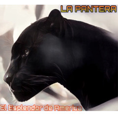 El amor es asi - Silvestre Dangond & Jimmy Zambrano.mp3