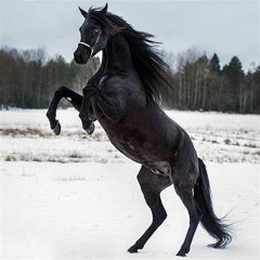 ⭐⭐⭐⭐⭐⭐⭐⭐⭐⭐⭐⭐⭐⭐⭐⭐⭐⭐⭐⭐⭐⭐⭐⭐⭐⭐⭐⭐⭐⭐