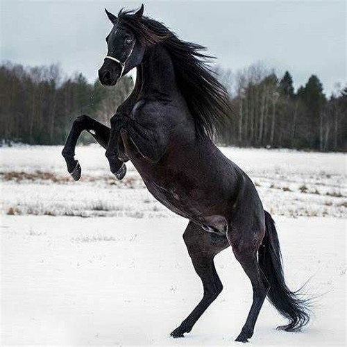 ⭐⭐⭐⭐⭐⭐⭐⭐⭐⭐⭐⭐⭐⭐⭐⭐⭐⭐⭐⭐⭐⭐⭐⭐⭐⭐⭐⭐⭐⭐