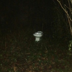 Conscious Body prod. nᴀyz