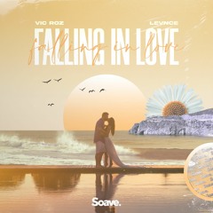 Vic Roz, LEVNCE - Falling In Love