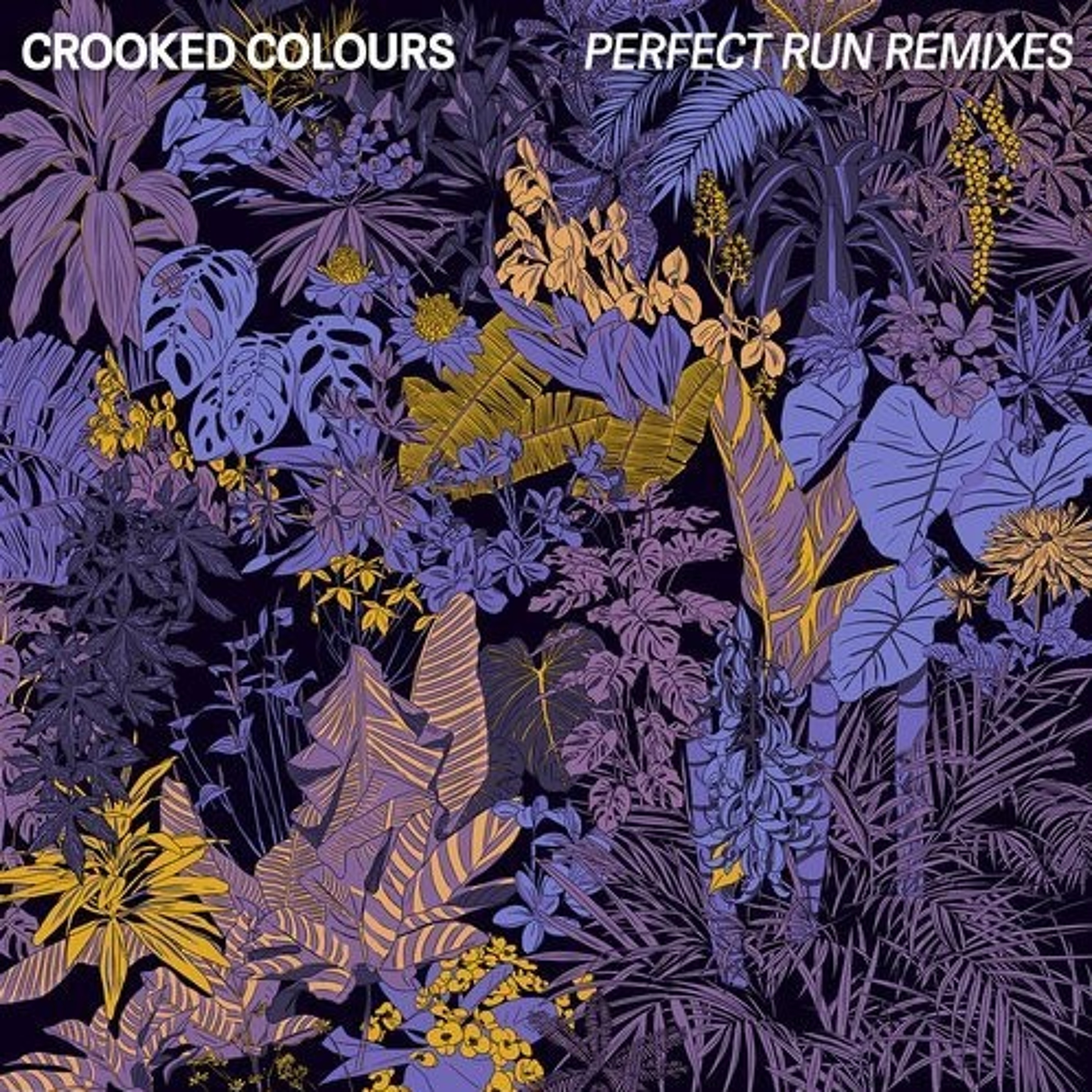 FREE DL: Crooked Colours - Perfect Run (The Robot Scientists Epic Club Edit) episode artwork