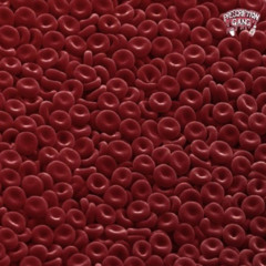 CODE80 blood blood HEXD mixx #bloodystar.com