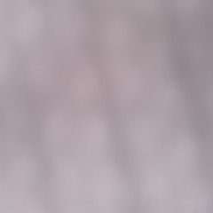 gomi
