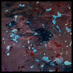 Last Swim of the Season