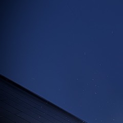 top ma lap ;1 p.birdbusinness