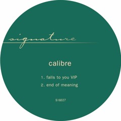 Calibre - End Of Meaning