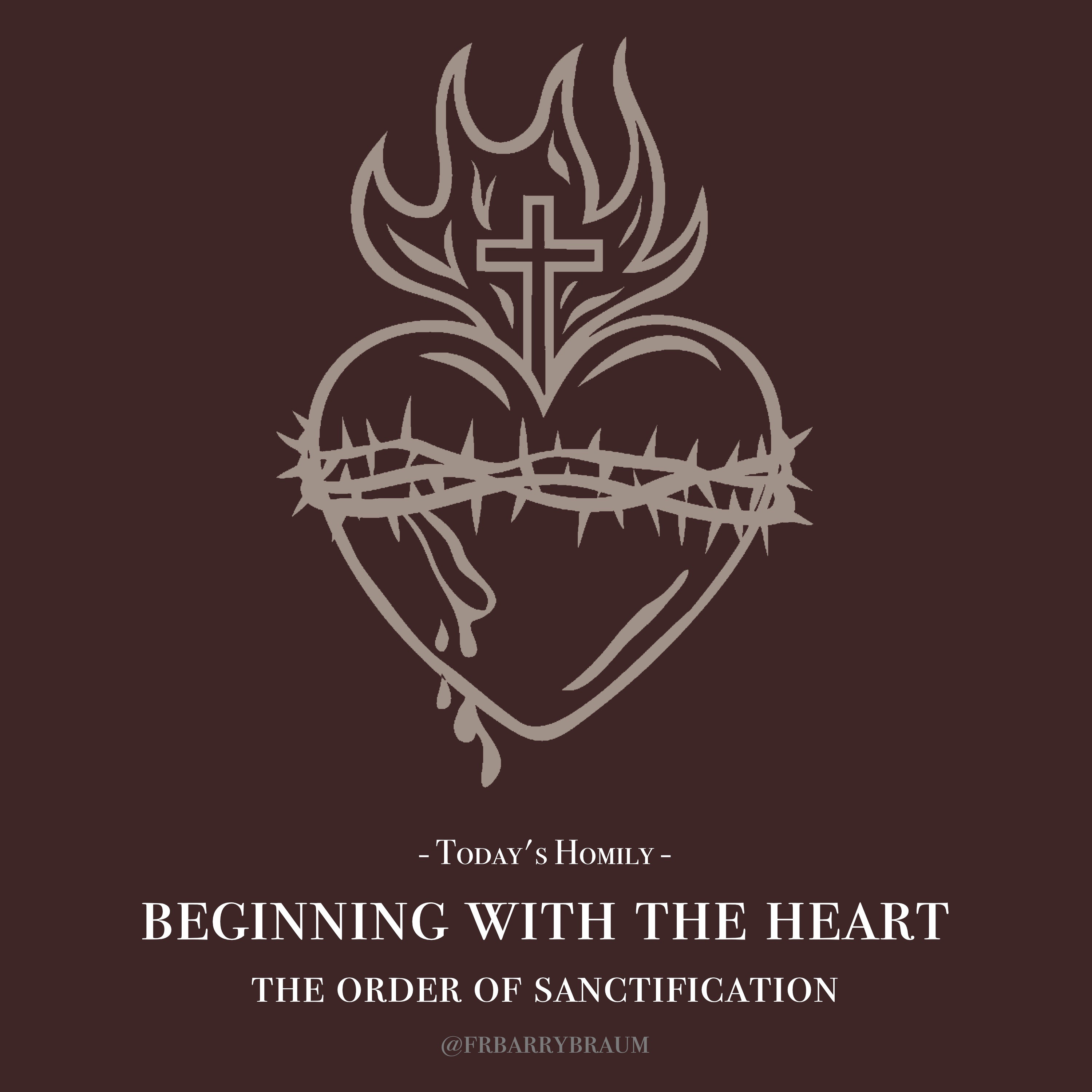 Fr. Barry Braum - Homilies and Conferences