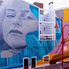 DOCTOR TORRES VILLARROEL-DESCRIPTIVA