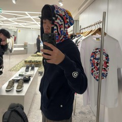 bapesta (otaku)