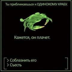 китекэт - дурачок из ипанемы