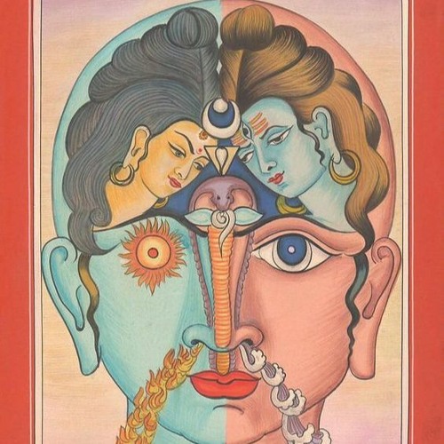Brain Filter - Shivaholic