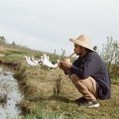 Chancha Via Circuito _ ASAAS أساس