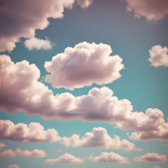 Untitled (2)