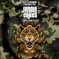 DJ Synth & M4DZ Jungle Cakes promo
