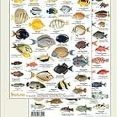 [View] KINDLE PDF EBOOK EPUB Hawaii Reef Fish #1 Identification Guide (Laminated Single Sheet Field