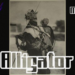 Alligator | Mvn