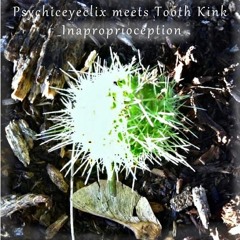 Psychiceyeclix Meets Tooth Kink - Lichtenberg Figures (Psychiceyeclix Remix)