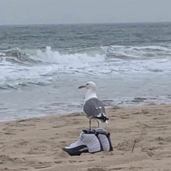 beach episode_chapter96