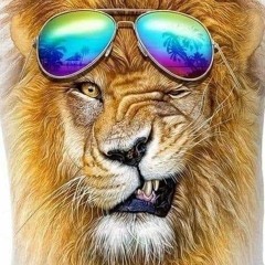 💯💯¥¢¢€©®$$⭐⭐💯💯