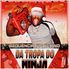 SEQUENCIA FIM DE ANO DJ FEIJÃO22