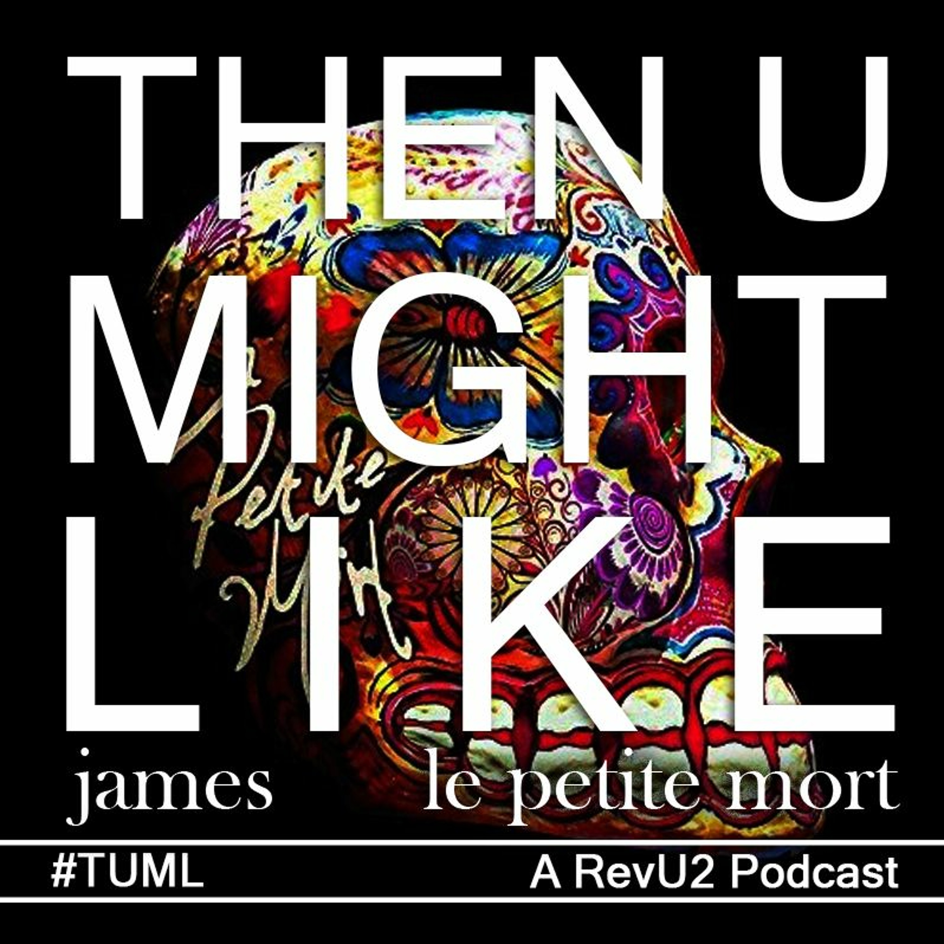 The U2 Podcast