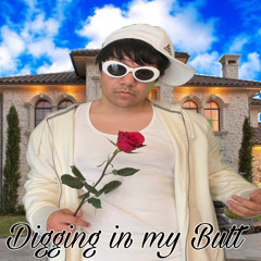 Digging in my Butt (prod. shem x aster)