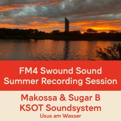 FM4 Swound Sound #1352