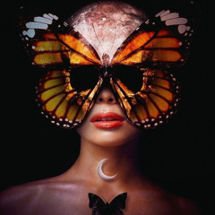 Midnight Stories 5