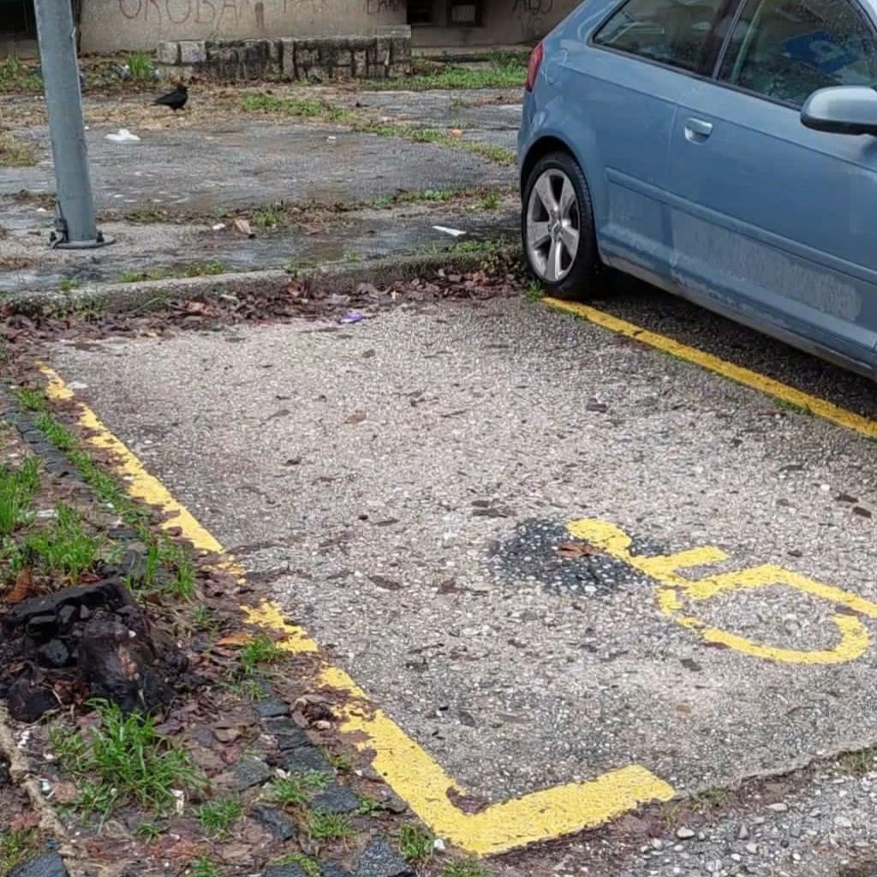 Direktor Mostar parkinga o invalidskim parking mjestima u Mostaru episode artwork