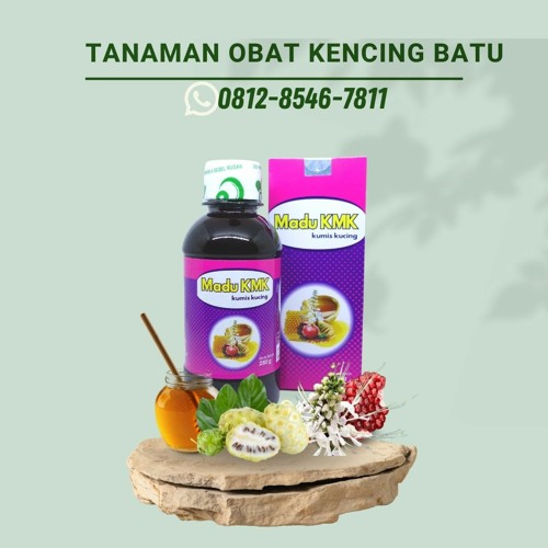 Tanaman Obat Kencing Batu Madu KMK (0812-8546-7811)