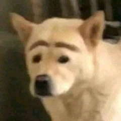 천하의 10년