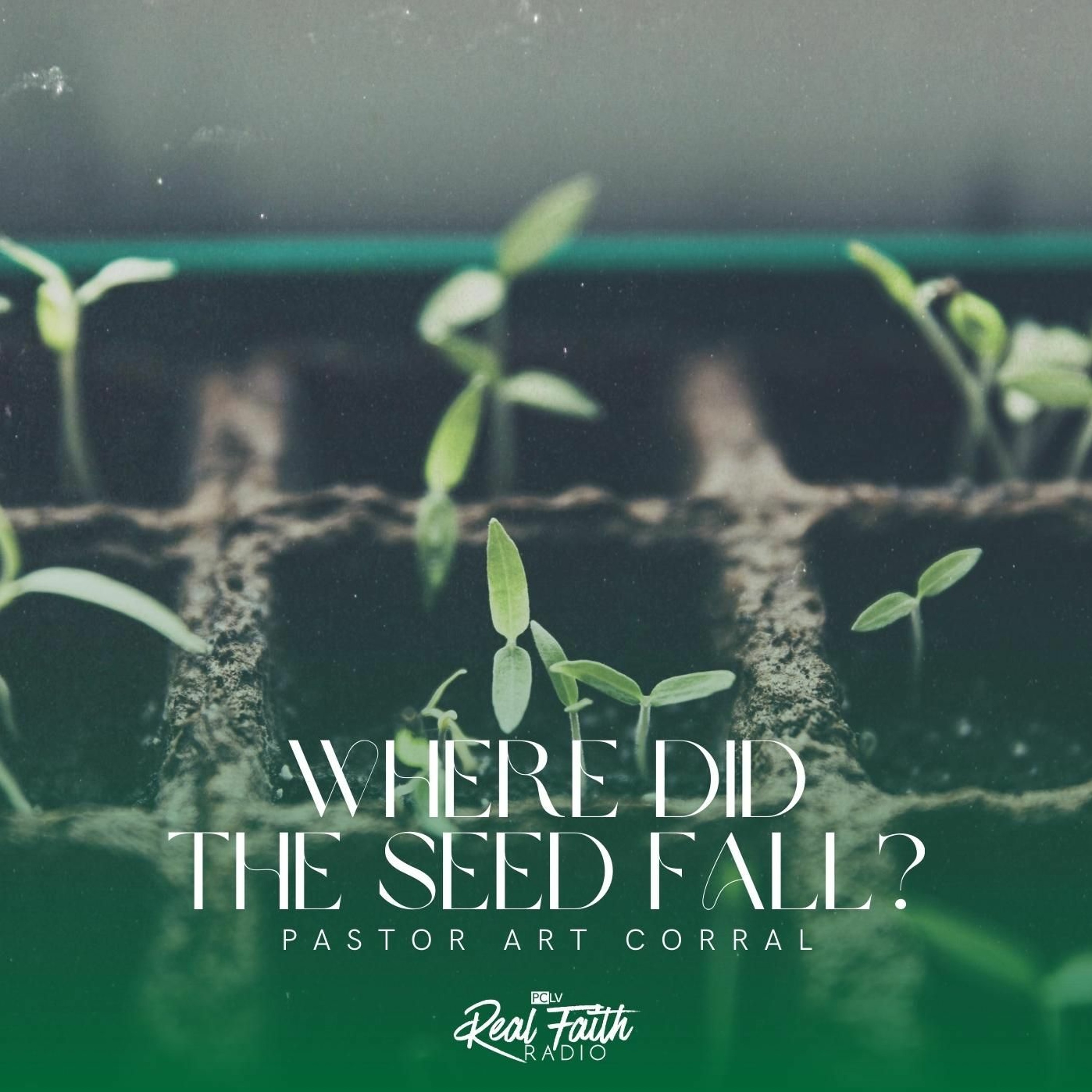 "Where Did The Seed Fall?" Pastor Art Corral (October 8, 2023) episode artwork