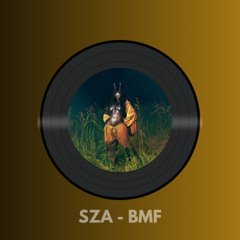 BMF KALZ Edit | * Pitch due a copyright