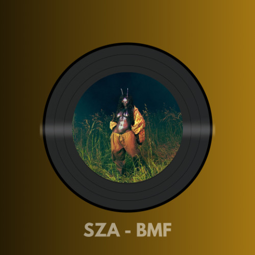 BMF KALZ Edit | * Pitch due a copyright