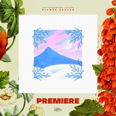 PREMIERE: George X & Plecta - Birds In The Sky [Everything Will Be OK]