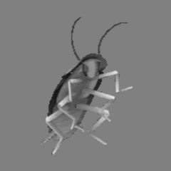 I'm The Scatroach