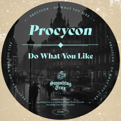 PROCYCON - Do What You Like [ST381] Smashing Trax
