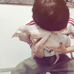 shakira freestyle.wav