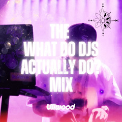 The What Do DJs Actually Do Mix (1hr Set)