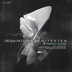 Die Raumzeit Architekten - Infinite Texture (Sebastian Fleischer Remix)snippet